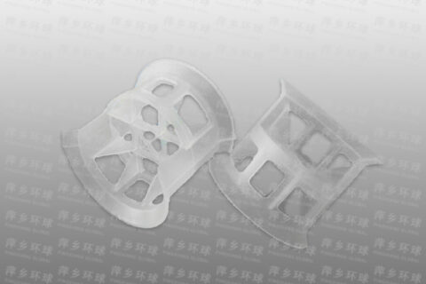 Conjugate ring