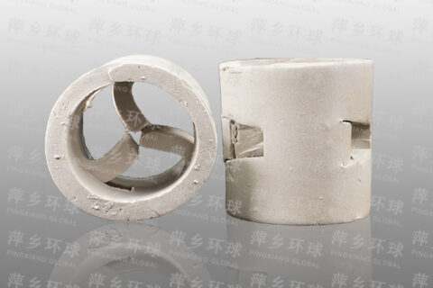 pall ring